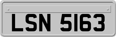 LSN5163