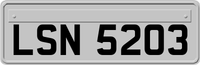 LSN5203
