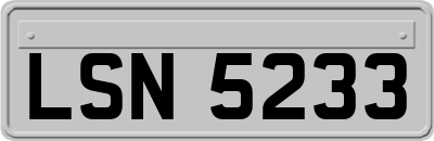LSN5233