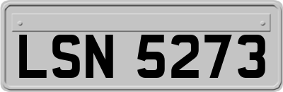 LSN5273