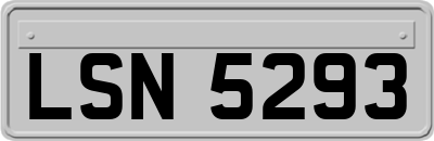 LSN5293