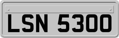 LSN5300