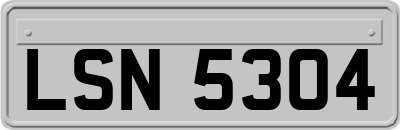 LSN5304
