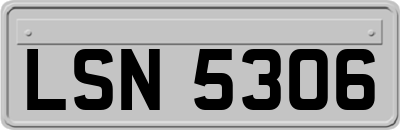 LSN5306