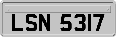 LSN5317