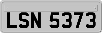 LSN5373