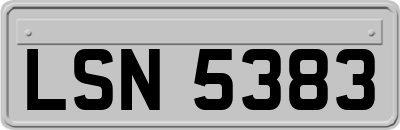 LSN5383