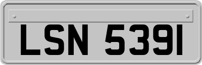 LSN5391