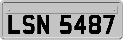 LSN5487