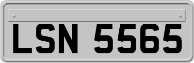 LSN5565
