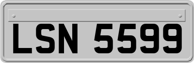LSN5599