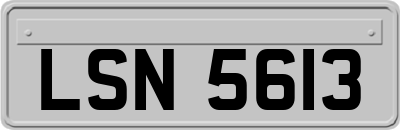 LSN5613
