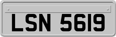 LSN5619