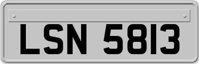 LSN5813
