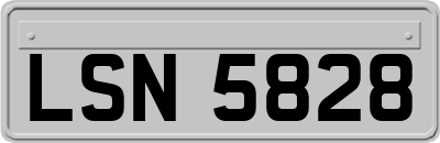 LSN5828