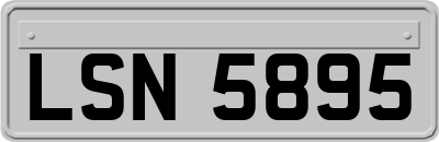 LSN5895