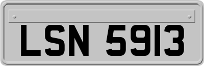 LSN5913