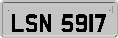 LSN5917