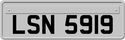 LSN5919