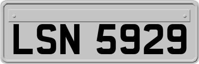 LSN5929
