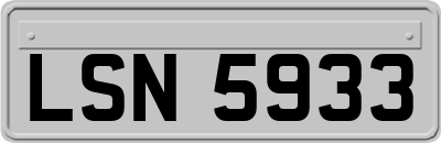 LSN5933