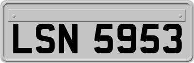 LSN5953