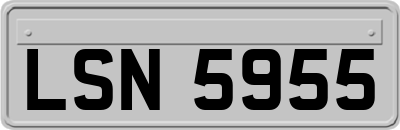 LSN5955