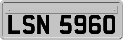 LSN5960