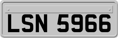 LSN5966