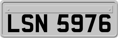 LSN5976