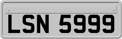 LSN5999