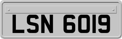 LSN6019