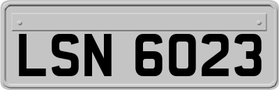 LSN6023