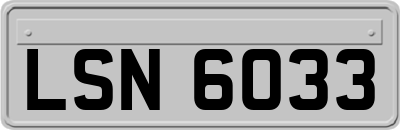 LSN6033