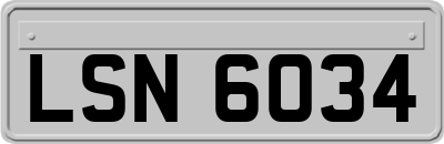 LSN6034