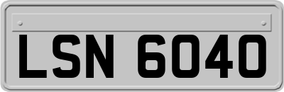 LSN6040