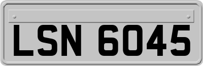 LSN6045