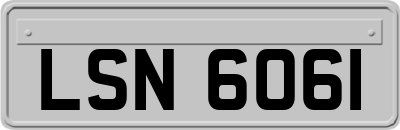 LSN6061