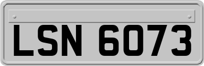 LSN6073