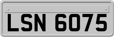 LSN6075