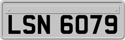 LSN6079