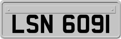 LSN6091