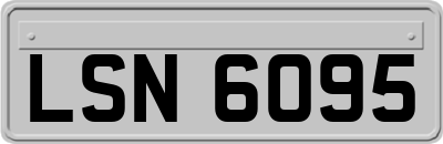 LSN6095