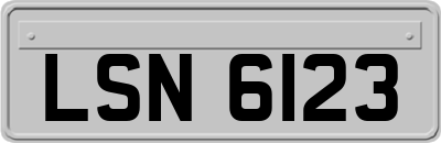 LSN6123