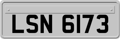 LSN6173