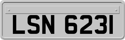 LSN6231