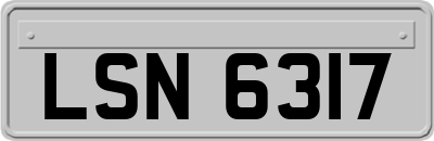 LSN6317