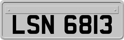 LSN6813