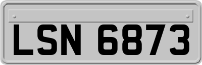 LSN6873