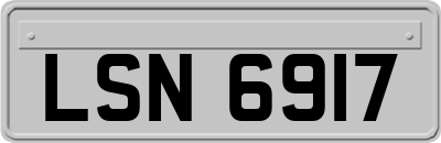 LSN6917